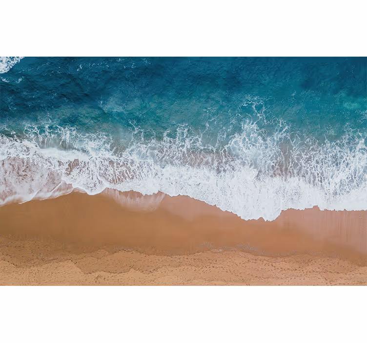 Strand med trestamme gang 3d fototapet - Tenstickers