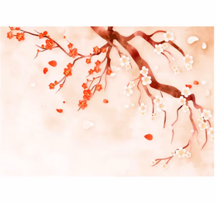 Kirsebærblomstgren fototapet blomster - Tenstickers