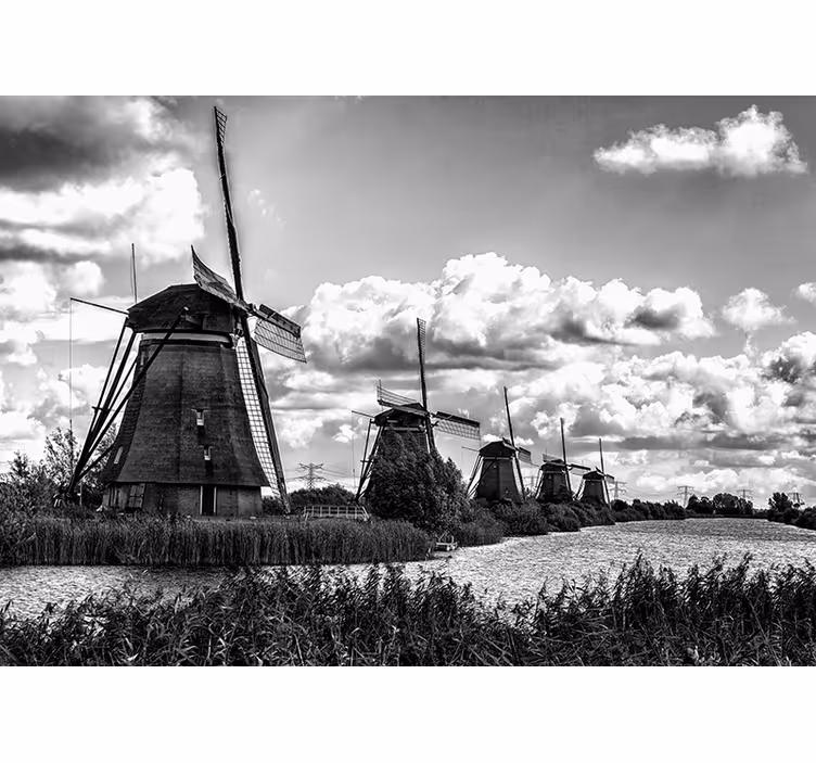 Vindmølle nederlandske landskap fototapet - Tenstickers