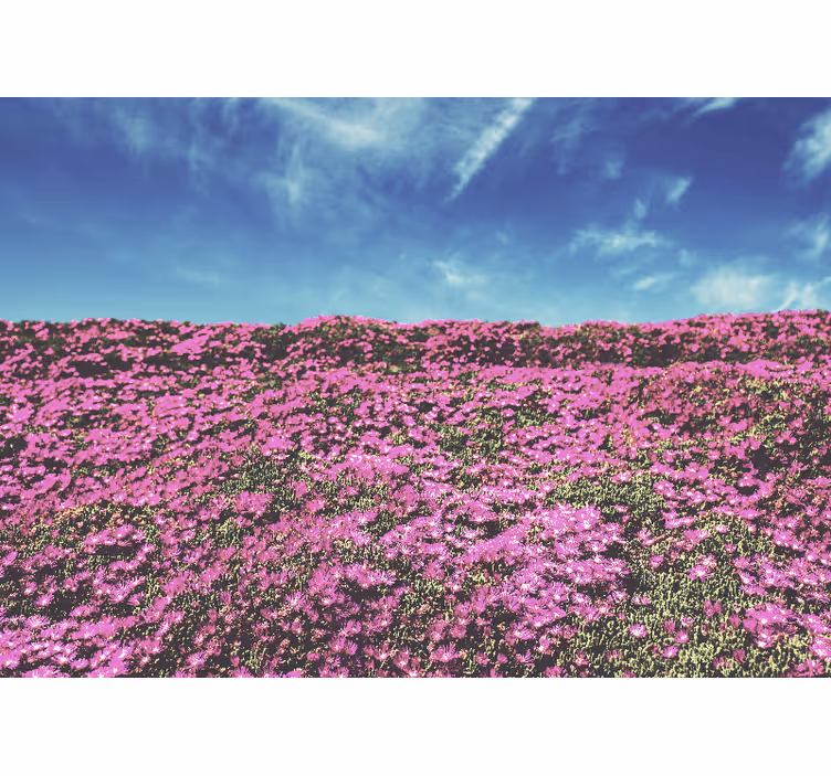 Fototapet blomster livlige rosa blomster - Tenstickers