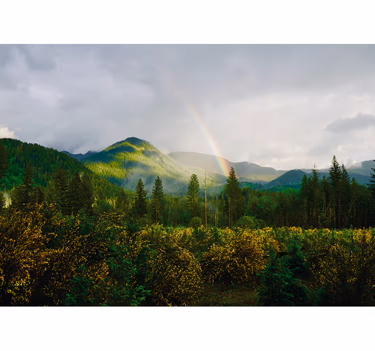 Utsikt over fjelllandskapet fototapet natur - Tenstickers