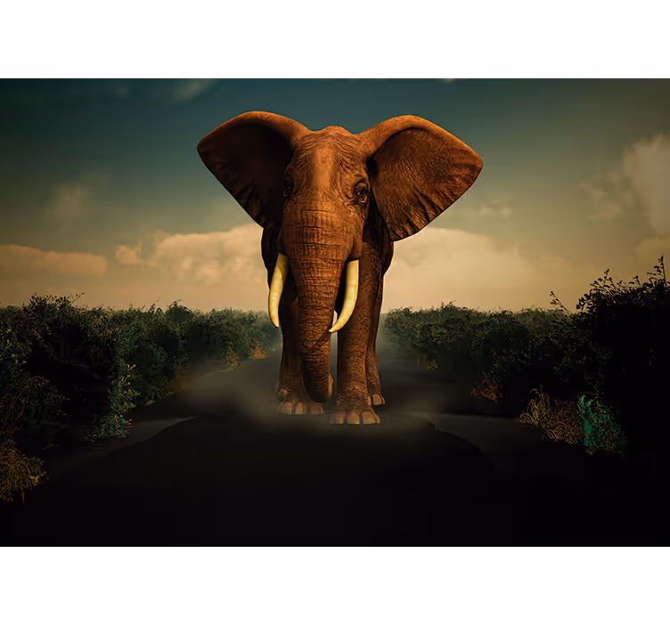 Elefant på fototapet - Tenstickers