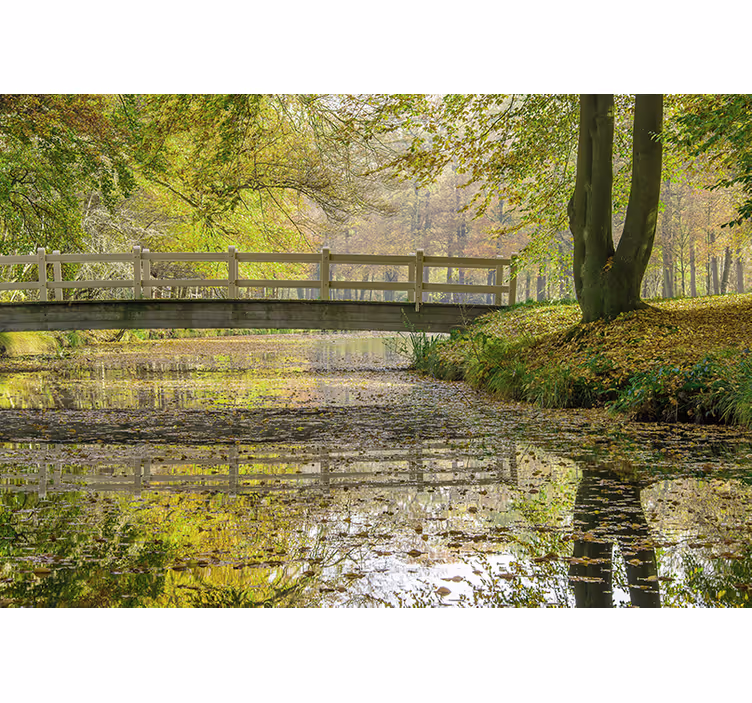 Rolig elvebro fototapet natur - Tenstickers