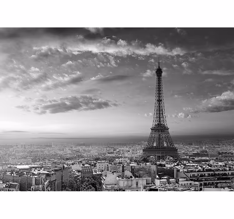 Fototapet paris med utsikt over eiffeltårnet - Tenstickers