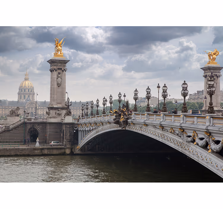 Utsikt over pont alexandre iii fototapet byer - Tenstickers