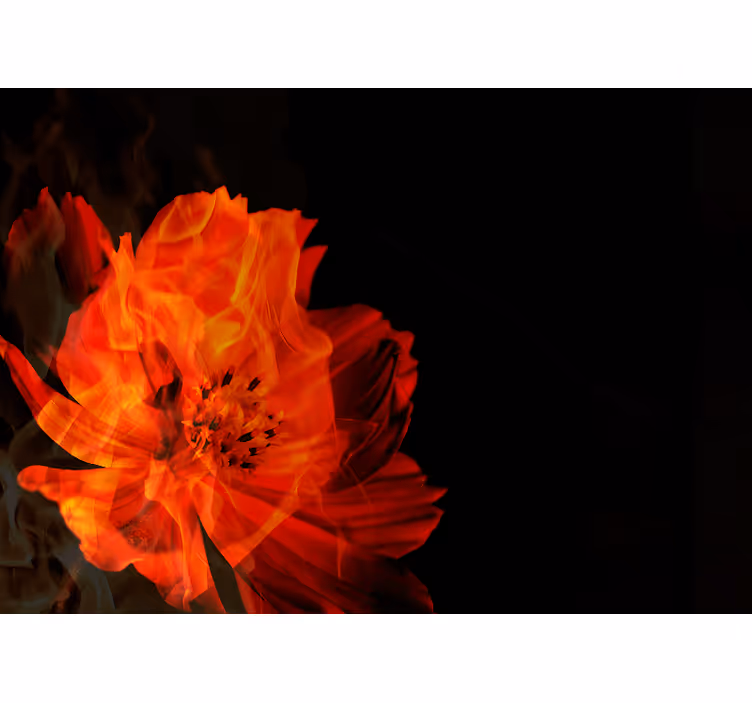Brennende blomsterutbrudd fototapet blomster - Tenstickers