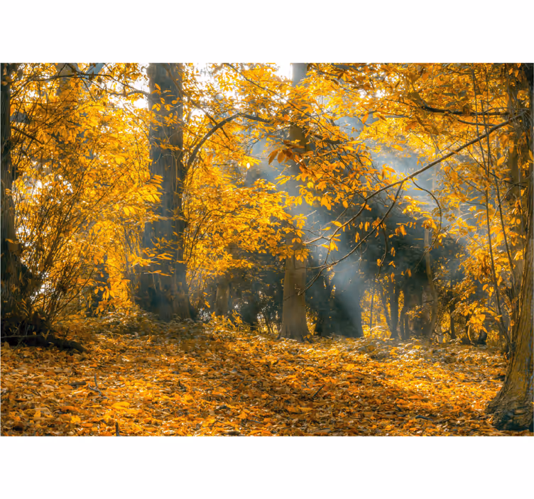 Gyllen høst fototapet natur - Tenstickers