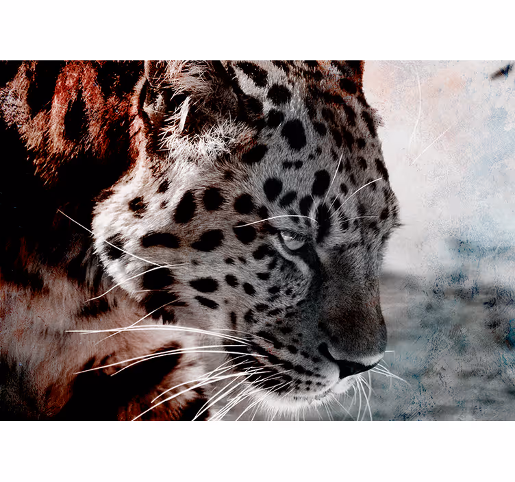 Svart og hvitt leopard fototapet - Tenstickers