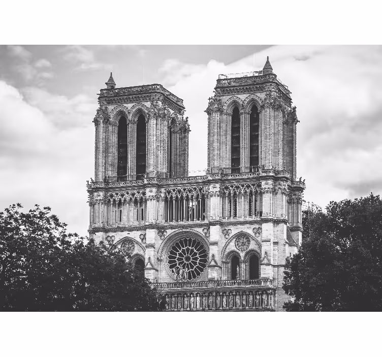 Notre dame katedral fototapet Paris - Tenstickers