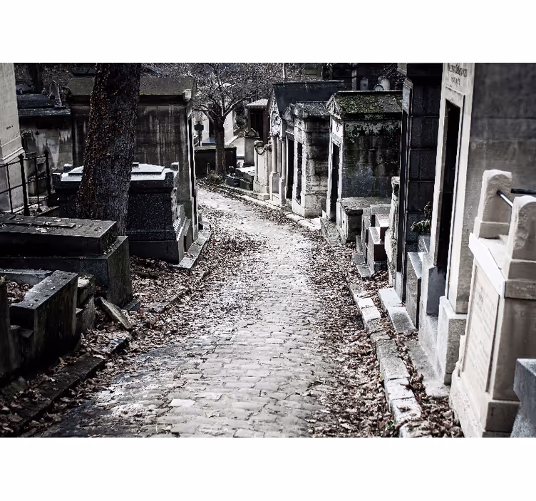 Kirkegården til père lachaise fototapet stue - Tenstickers