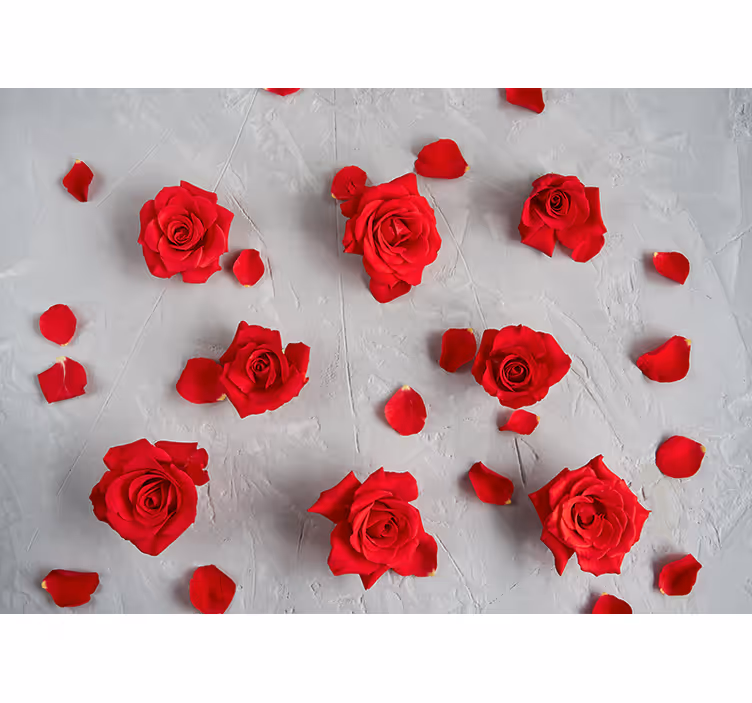 Røde roseblader fototapet blomster - Tenstickers