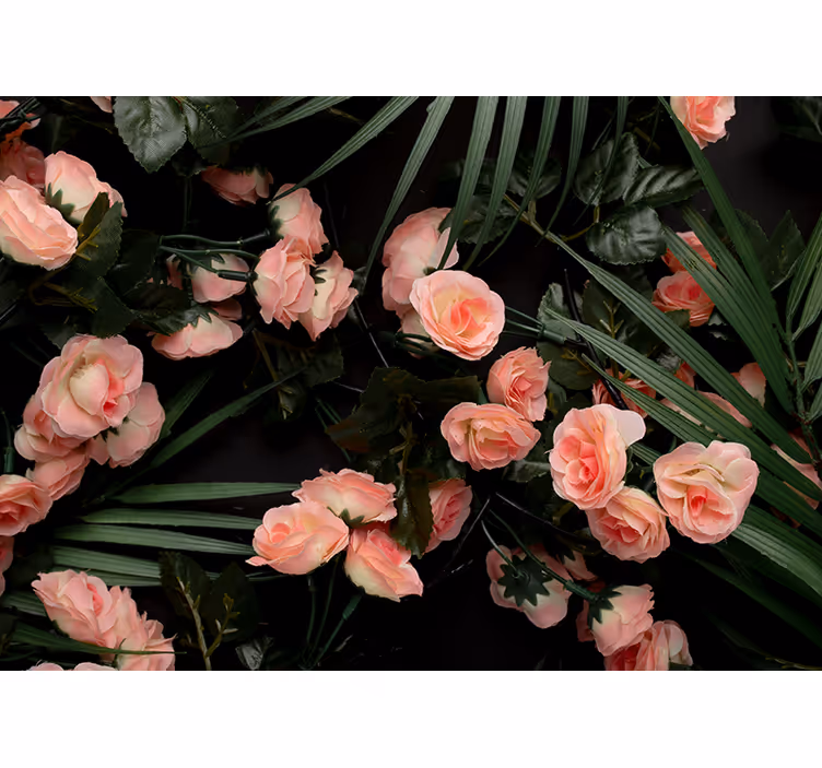 Myke rosa roser fototapet blomster - Tenstickers