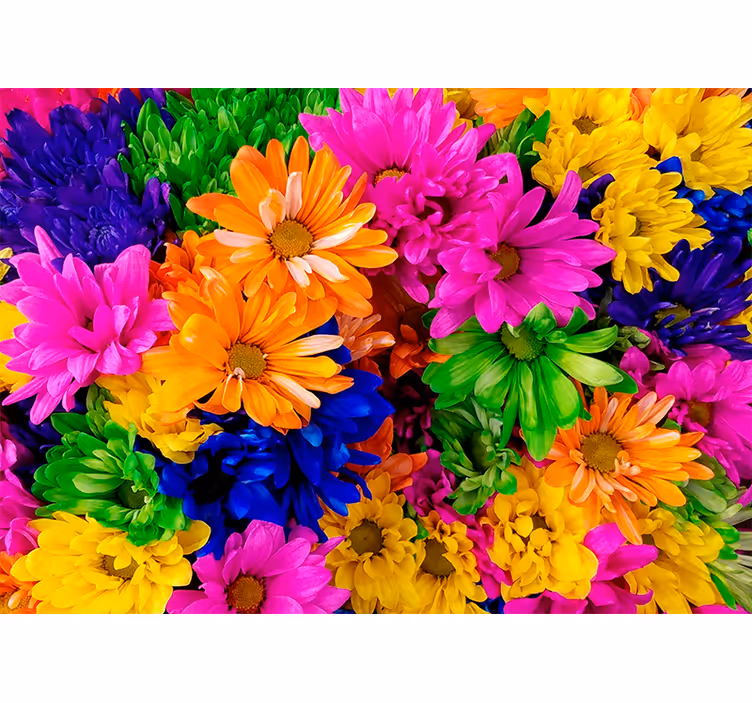 Fototapet blomster fargerik botanisk samling - Tenstickers