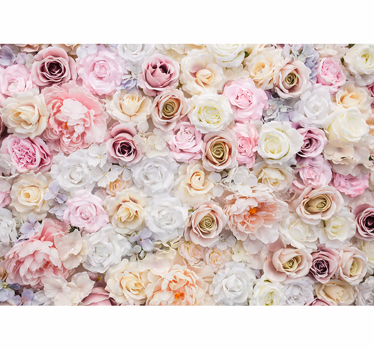 Vakker bakgrunn av roser fototapet blomster - Tenstickers