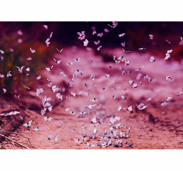 Delikat sommerfugldans fototapet blomster - Tenstickers