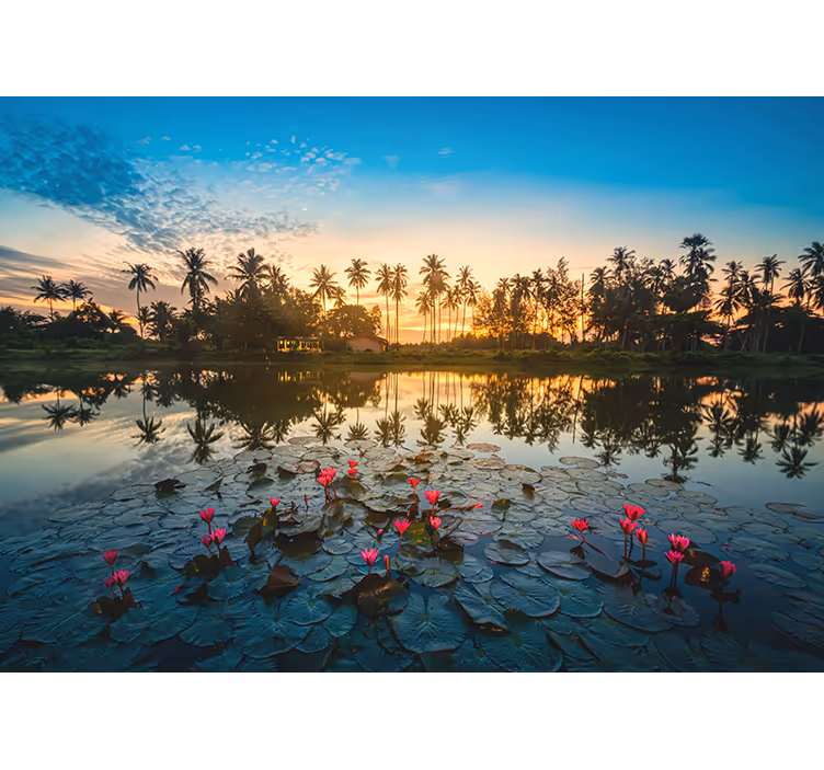 Fredfull lotusrefleksjon fototapet natur - Tenstickers