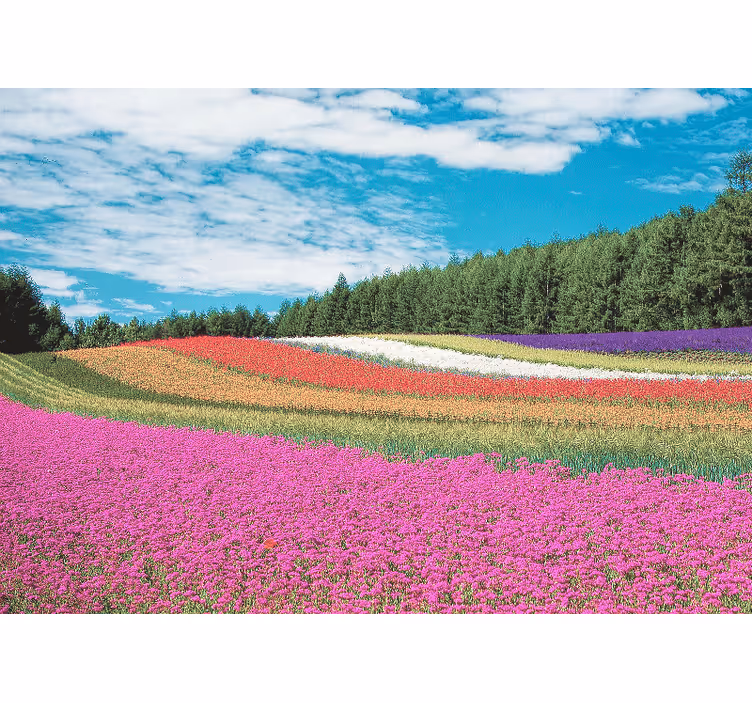 Fototapet blomster livlig blomsterlandskap - Tenstickers