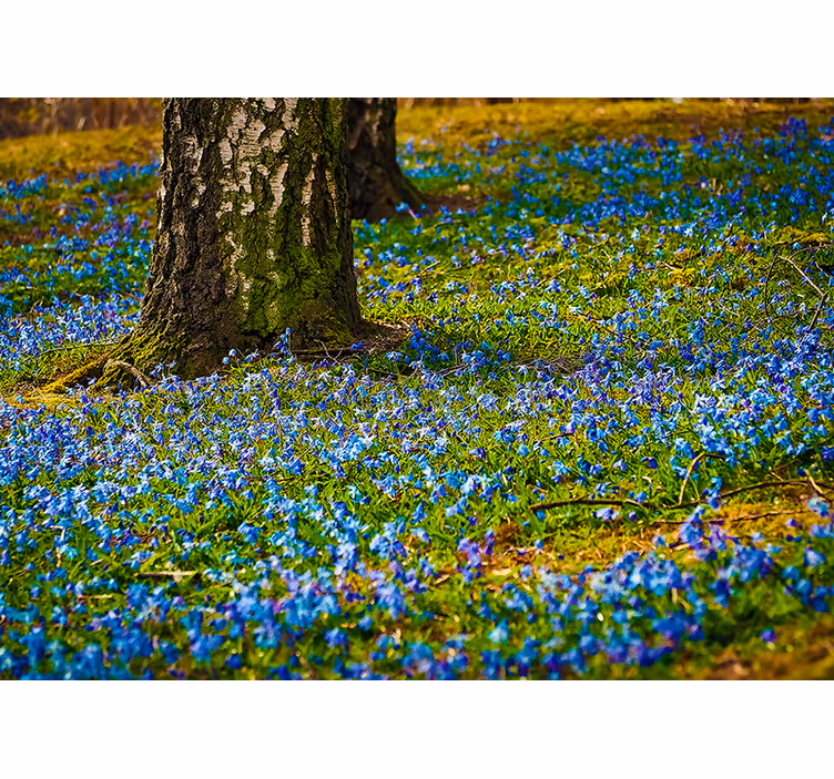 Blå blomster og et tre fototapet blomster - Tenstickers