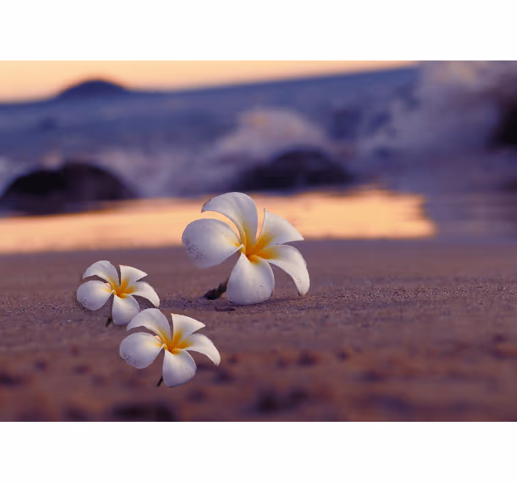 Fototapet valmue tropisk blomstertrio - Tenstickers