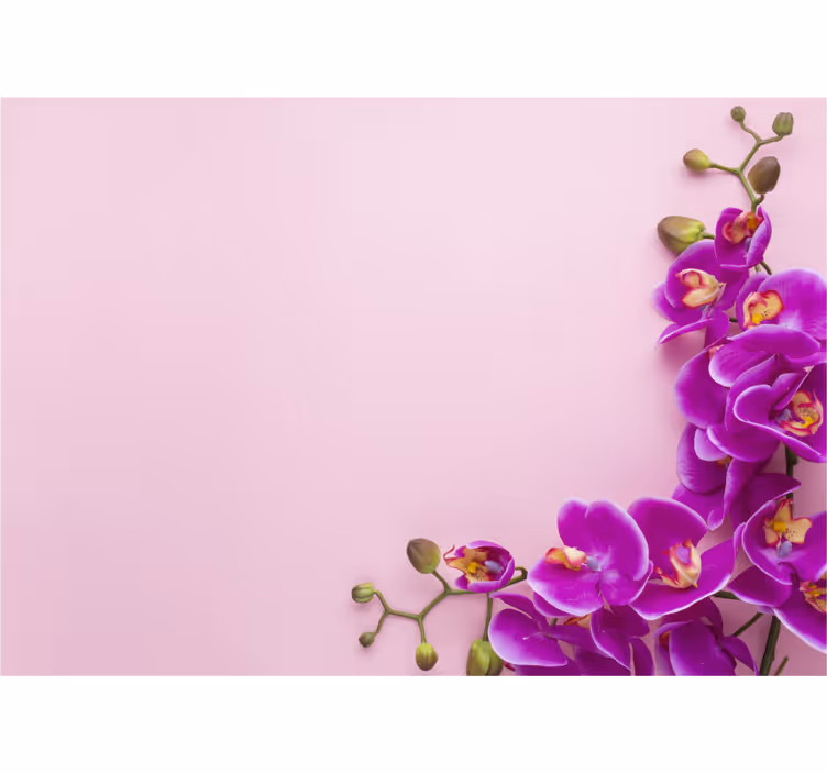 Fototapet orkideer blomsteroppsett - Tenstickers
