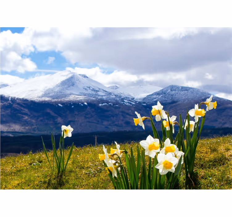 Blomster landskap fototapet enger - Tenstickers