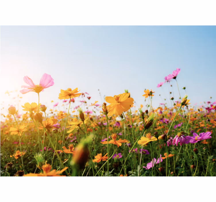 Blanding av blomstertyper fototapet blomster - Tenstickers