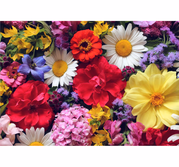 Fototapet blomster livlige blomsterarrangementer - Tenstickers
