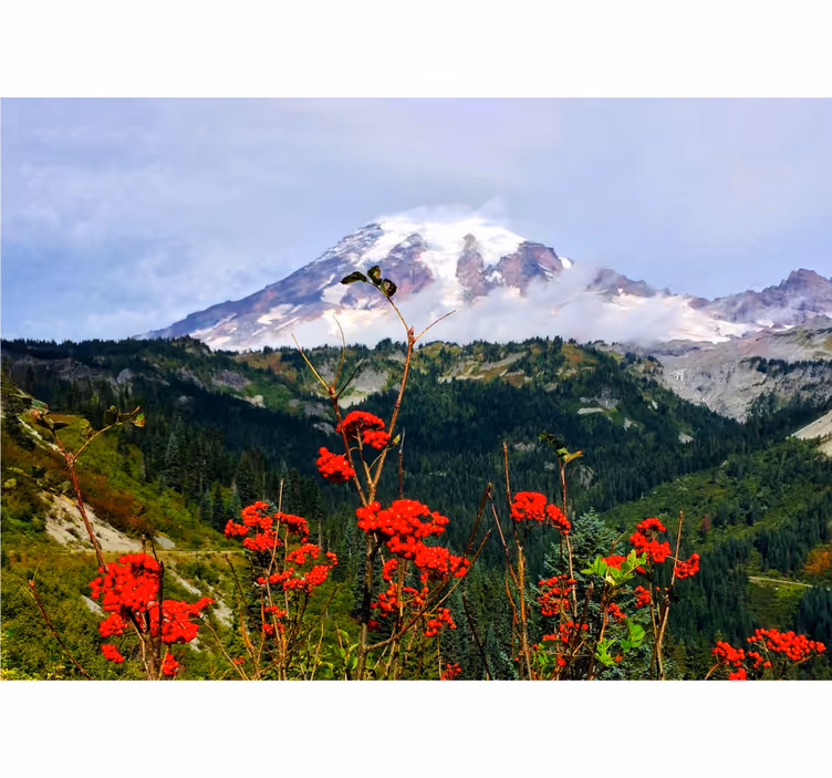 Fjell og røde blomster fototapet blomster - Tenstickers