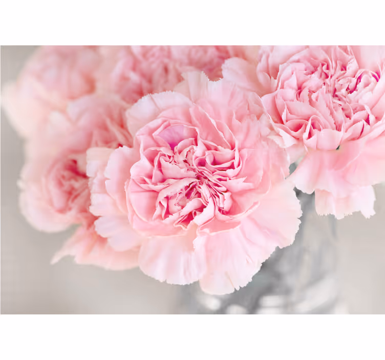 Fototapet blomster nydelige rosa blomster - Tenstickers