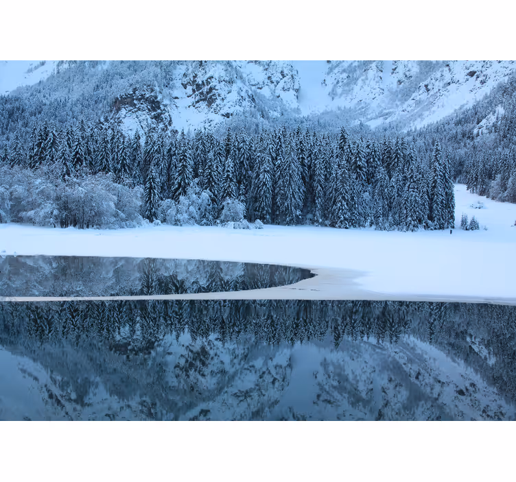 Fototapet landskap rolig vinterlandskap - Tenstickers