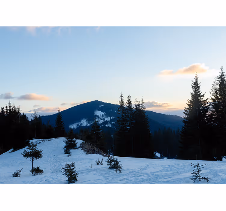 Fototapet fjell frosty summit landskap - Tenstickers