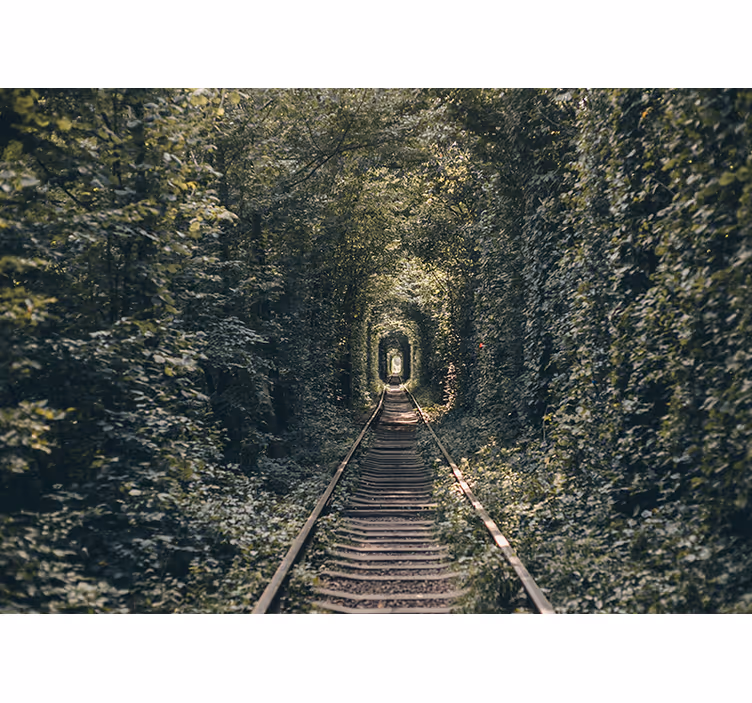 Fototapet landskap jernbanetunnel natur - Tenstickers