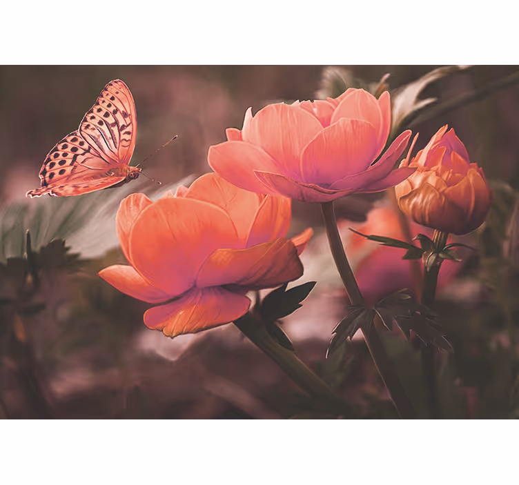 Fototapet blomster sommerfugl over blomster - Tenstickers