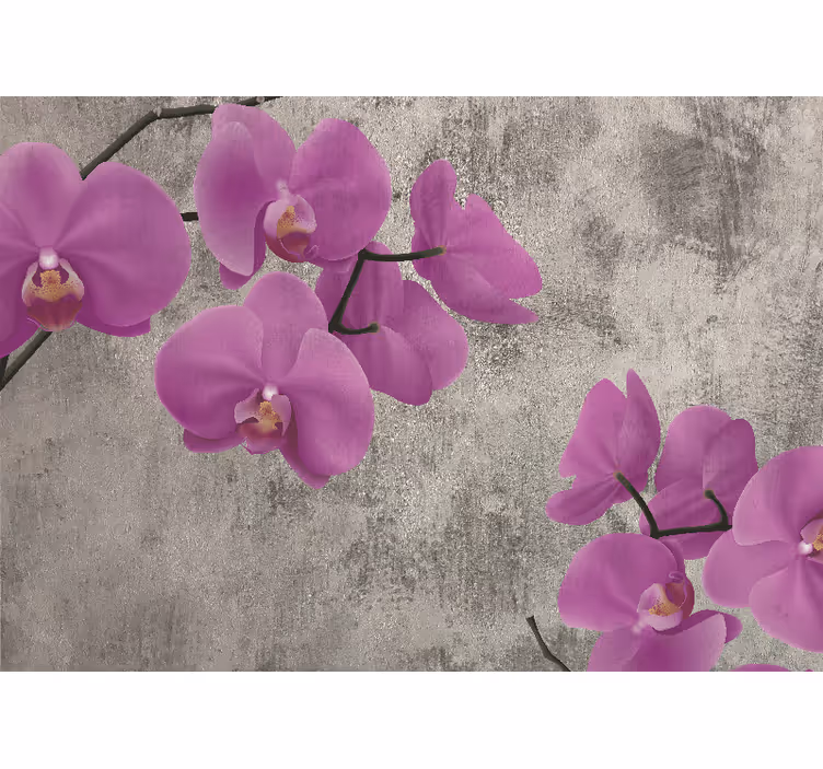 Fototapet blomster roseorkidéblomster - Tenstickers