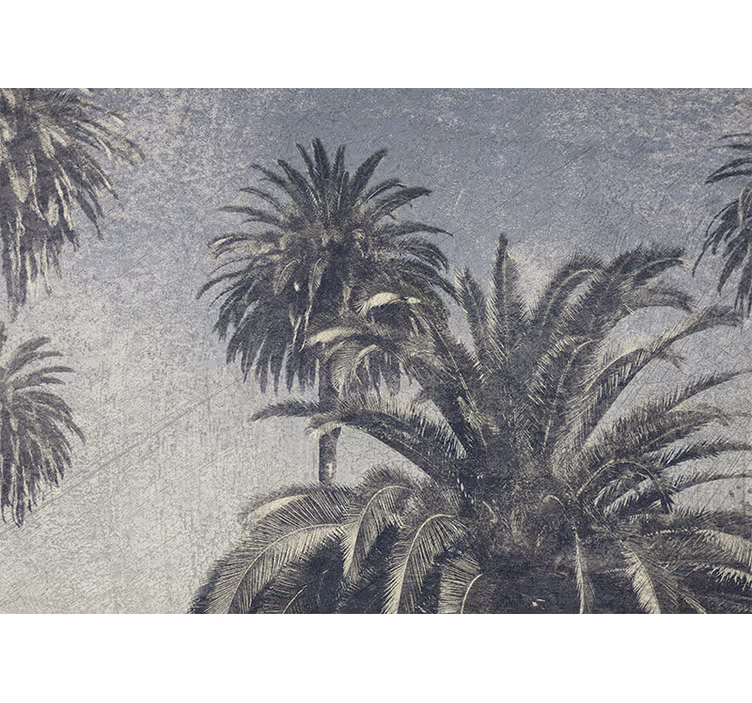 Fototapet natur palmetre oase - Tenstickers