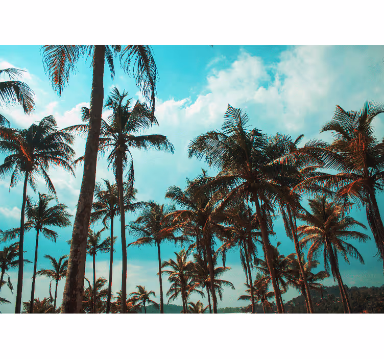 Fototapet natur palmesus paradis - Tenstickers