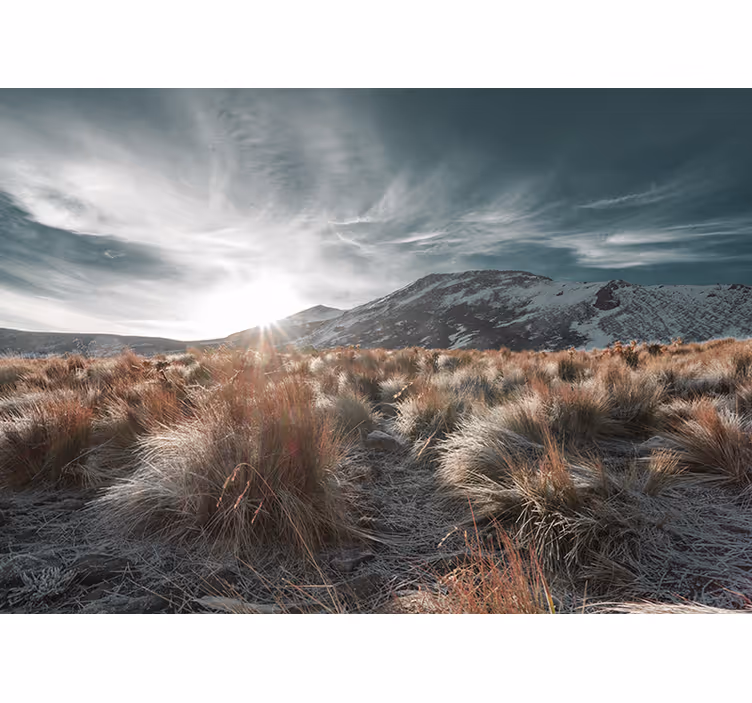 Nevado de toluca med felt fototapet natur - Tenstickers