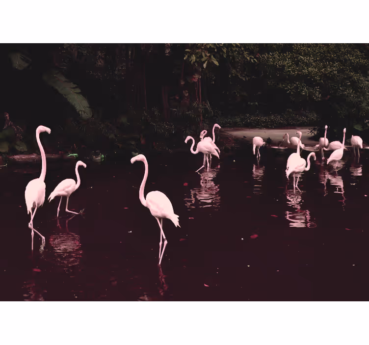 Kontor fototapet elegante flamingoer samling - Tenstickers