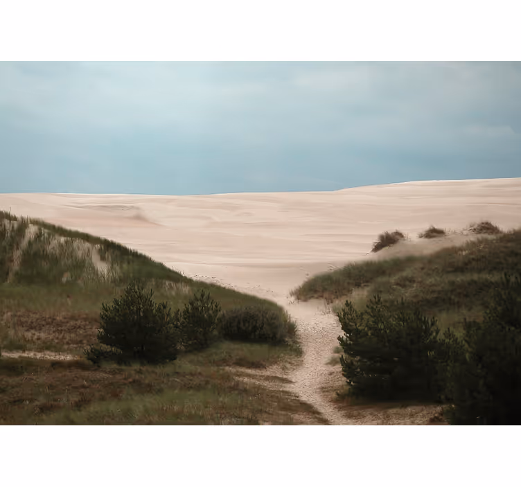 Fototapet landskap sanddynevei - Tenstickers