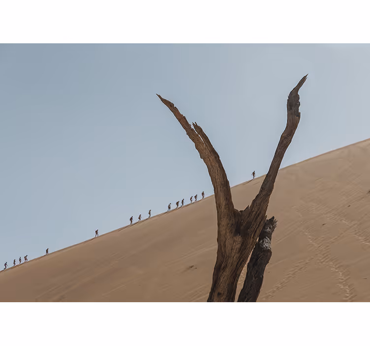 Dune turgåere silhuett fototapet ørken - Tenstickers