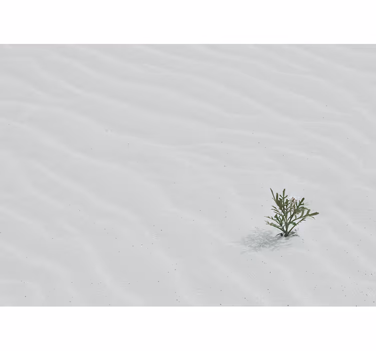 Fototapet natur sand og grøntområder - Tenstickers