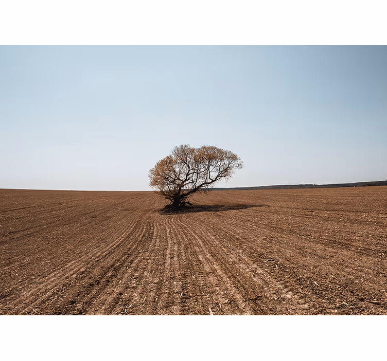 Fototapet natur ensom tre landskap - Tenstickers