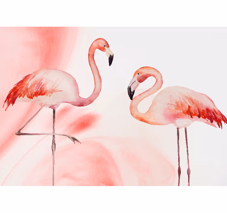 Fototapet stue flamingopar - Tenstickers