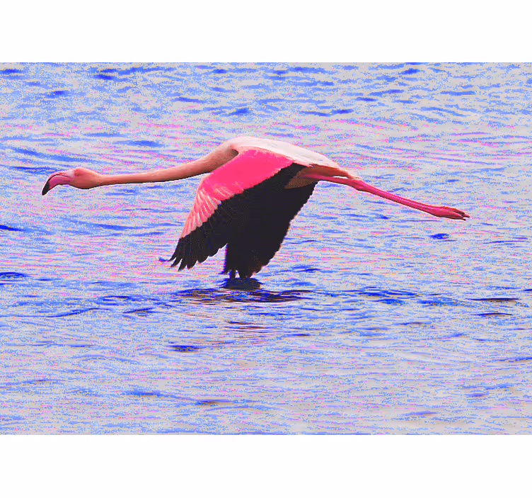 Flamingo i flukt fototapet dyr - Tenstickers
