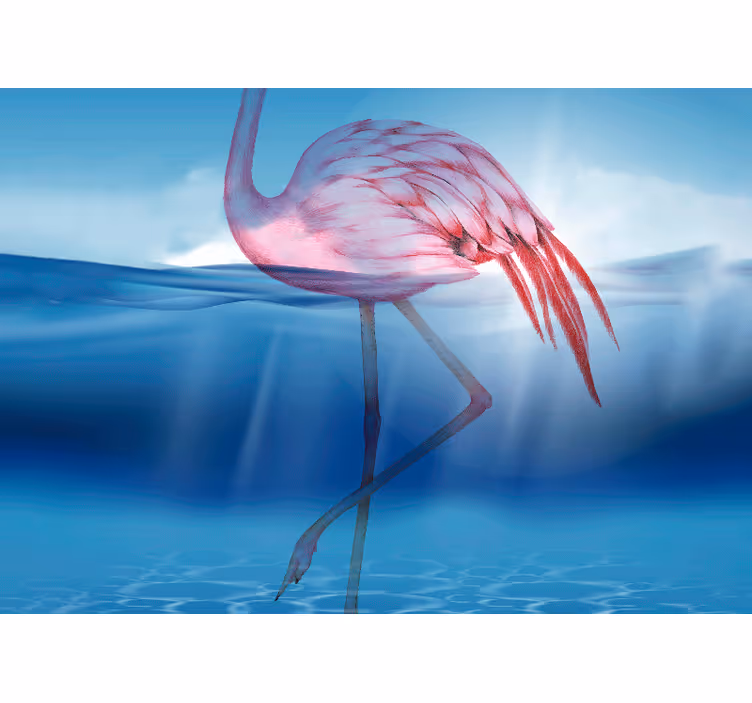 Fototapet dyr elegant flamingo stående - Tenstickers