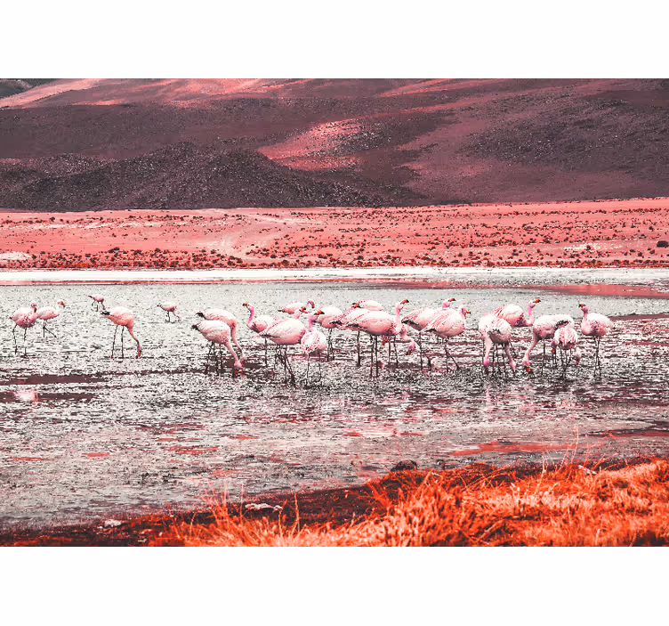 Fototapet dyr flamingo habitat scene - Tenstickers