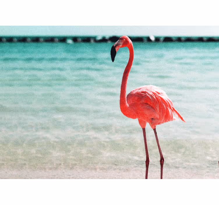 Fototapet dyr graceful flamingo posisjon - Tenstickers