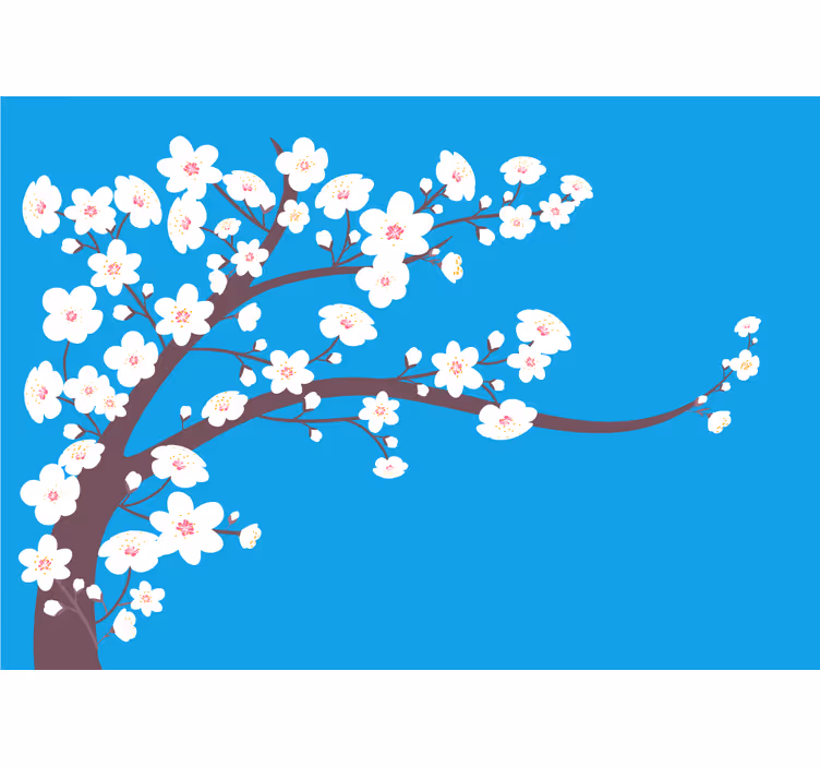 Hvite blomster med blå bakgrunn fototapet 3d - Tenstickers