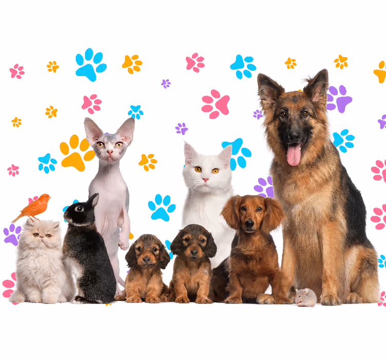 Fototapet dyr lykkelige dyrevenner - Tenstickers