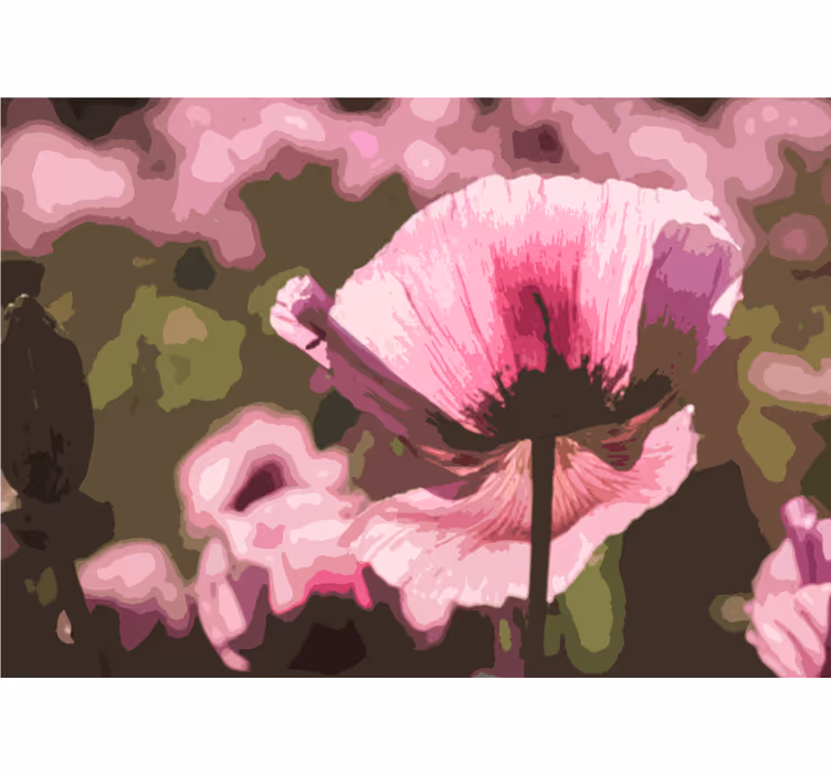 Fototapet valmue rosa valmueblomstring - Tenstickers